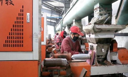 汪清日產12萬袋菌包廠開工生產