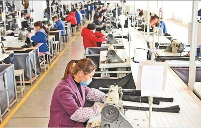 新平縣復工達產有序推進 全縣31戶規模以上企業全部復工